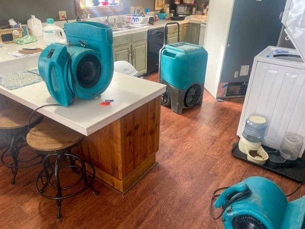 Best Water damage contractors near me  in Cimarron Hills, CO