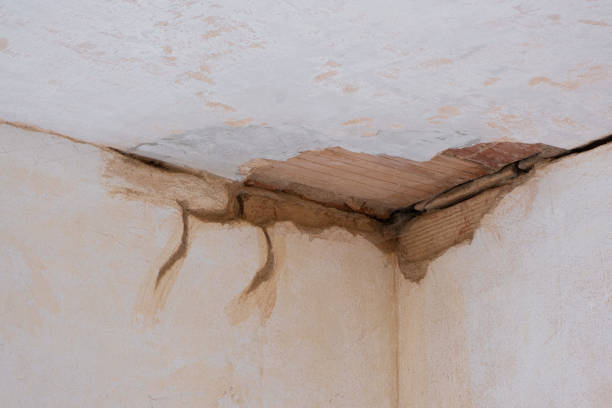 Best Local water damage restoration  in Cimarron Hills, CO