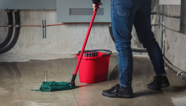 Best Sewage cleanup and water damage restoration  in Cimarron Hills, CO