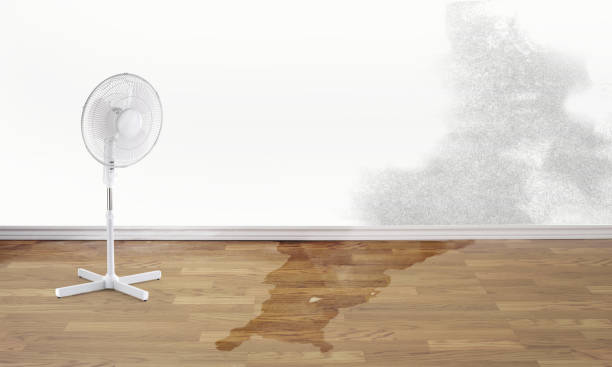 Best Water damage restoration specialists  in Cimarron Hills, CO