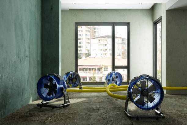 Best Water damage restoration insurance claims  in Cimarron Hills, CO