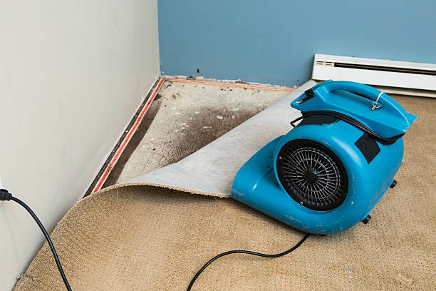 Best Basement water damage restoration  in Cimarron Hills, CO